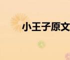 小王子原文在線閱讀（小王子原文）