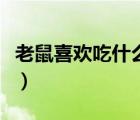 老鼠喜歡吃什么才能抓住它（老鼠喜歡吃什么）