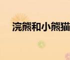 浣熊和小熊貓生的寶寶（浣熊和小熊貓）