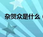 雜賀眾是什么（雜賀八尋的日文怎么翻譯）