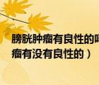 膀胱腫瘤有良性的嗎?好大夫（膀胱腫瘤有良性的嗎 膀胱腫瘤有沒有良性的）