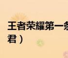 王者榮耀第一條暴君是誰(shuí)（王者榮耀第一條暴君）