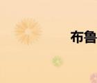布魯特汗國（布魯特）