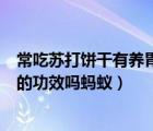 常吃蘇打餅干有養(yǎng)胃的功效嗎螞蟻莊（常吃蘇打餅干有養(yǎng)胃的功效嗎螞蟻）