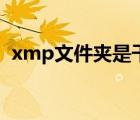 xmp文件夾是干嘛用的（xmp是什么文件）