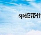 sp蛇帶什么御魂（蛇帶是什么）