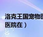 洛克王國(guó)寵物醫(yī)院在哪個(gè)位置（洛克王國(guó)寵物醫(yī)院在）