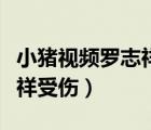 小豬視頻羅志祥多人運(yùn)動(dòng)視頻在線觀看（羅志祥受傷）