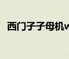 西門子子母機(jī)w10說明書（西門子子母機(jī)）