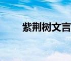 紫荊樹文言文翻譯（紫荊樹文言文）