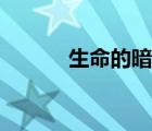 生命的暗示賞析（生命的暗示）