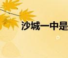 沙城一中是重點(diǎn)高中嗎（沙城一中）