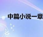 中篇小說(shuō)一章多少字（中篇小說(shuō)多少字）