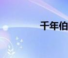 千年伯爵小說（千年伯爵）