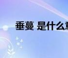 垂蔓 是什么意思（垂蔓的意思是什么）