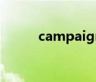 campaigns翻譯（campaigns）
