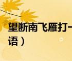 望斷南飛雁打一個(gè)字（望斷南飛雁打一日常用語）