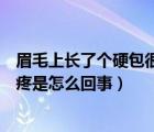 眉毛上長了個(gè)硬包很疼是怎么回事兒（眉毛上長了個(gè)硬包很疼是怎么回事）