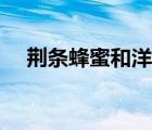 荊條蜂蜜和洋槐蜂蜜哪個好（荊條蜂蜜）