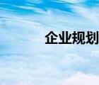 企業(yè)規(guī)劃書模板（規(guī)劃書模板）