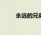 永遠(yuǎn)的兄弟（我是特種兵主題曲）