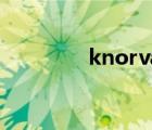 knorvay諾維（knorvay）