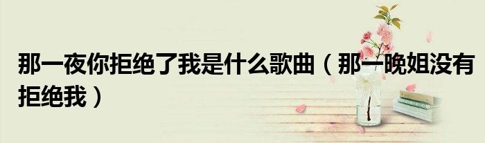 那一夜你拒絕了我是什么歌曲（那一晚姐沒有拒絕我）