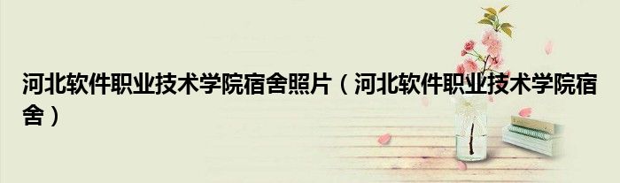 河北軟件職業(yè)技術學院宿舍照片（河北軟件職業(yè)技術學院宿舍）