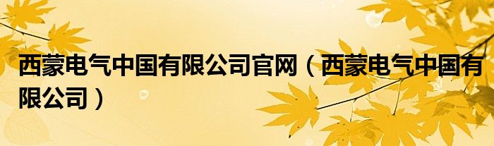 西蒙電氣中國有限公司官網(wǎng)（西蒙電氣中國有限公司）