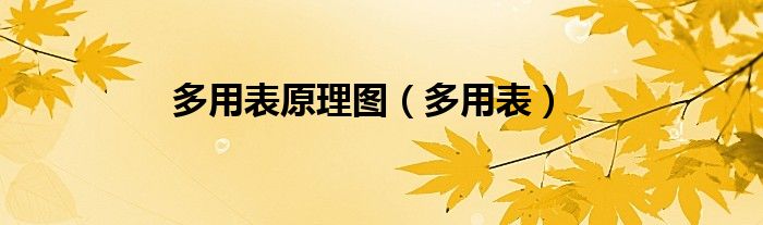 多用表原理圖（多用表）