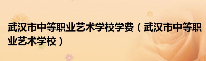 武漢市中等職業(yè)藝術(shù)學(xué)校學(xué)費(fèi)（武漢市中等職業(yè)藝術(shù)學(xué)校）