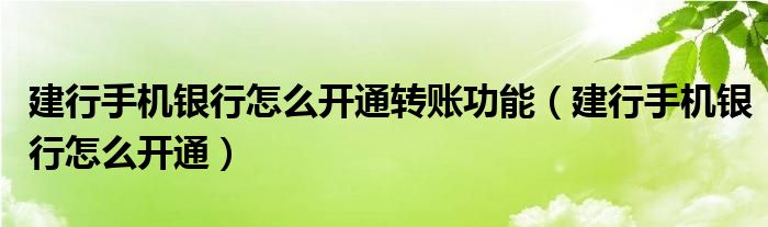 建行手機(jī)銀行怎么開通轉(zhuǎn)賬功能（建行手機(jī)銀行怎么開通）