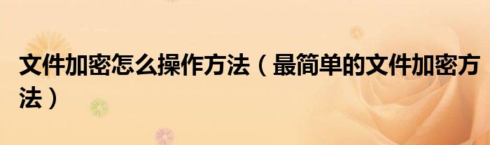 文件加密怎么操作方法（最簡單的文件加密方法）
