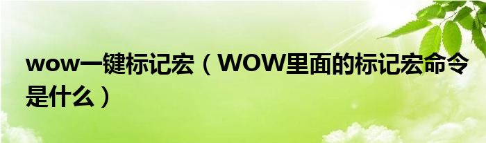 wow一鍵標記宏（WOW里面的標記宏命令是什么）