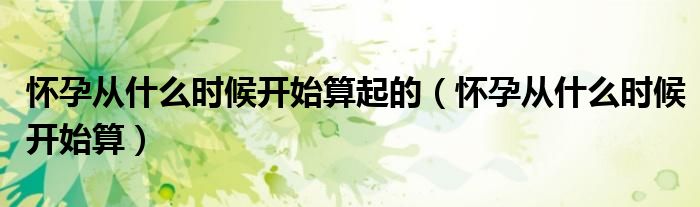 懷孕從什么時候開始算起的（懷孕從什么時候開始算）