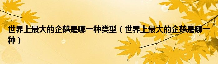 世界上最大的企鵝是哪一種類型（世界上最大的企鵝是哪一種）