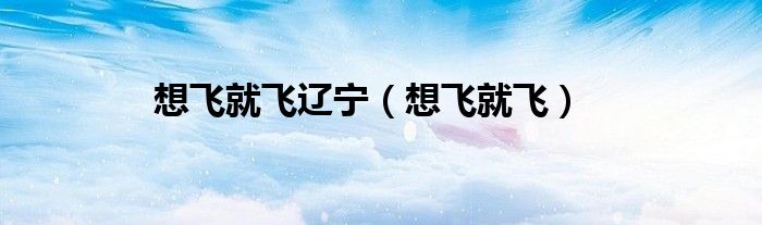 想飛就飛遼寧（想飛就飛）