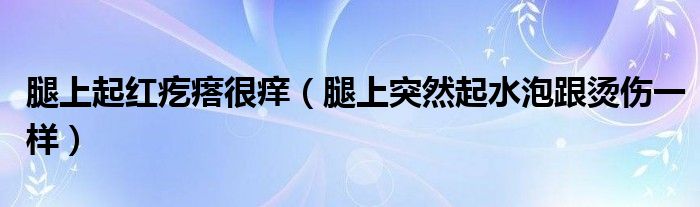 腿上起紅疙瘩很癢（腿上突然起水泡跟燙傷一樣）