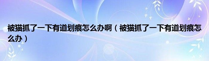 被貓抓了一下有道劃痕怎么辦啊（被貓抓了一下有道劃痕怎么辦）