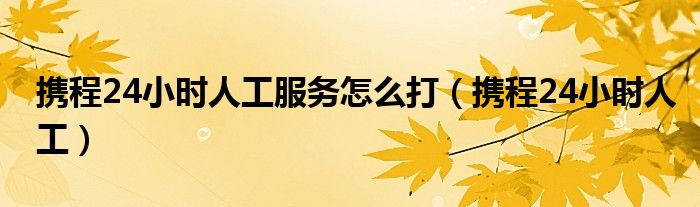 攜程24小時人工服務怎么打（攜程24小時人工）