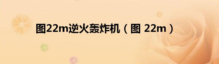 圖22m逆火轟炸機（圖 22m）