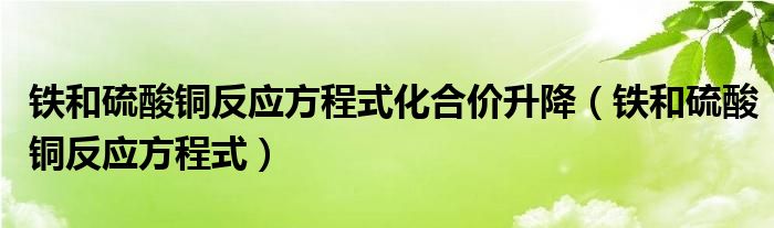 鐵和硫酸銅反應(yīng)方程式化合價(jià)升降（鐵和硫酸銅反應(yīng)方程式）