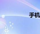 手機袋絨布（手機袋）