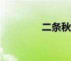 二條秋同人漫畫（二條秋）