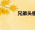 兄弟頭像兩張（qq兄弟頭像）