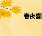春夜喜雨 古詩(shī)（春夜喜雨）