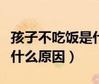孩子不吃飯是什么原因引起的（孩子不吃飯是什么原因）