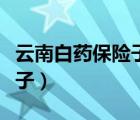 云南白藥保險(xiǎn)子正確服用方法（云南白藥保險(xiǎn)子）