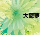 大菠蘿3多少錢（大菠蘿3）