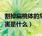 割掉扁桃體的危害是什么病（割掉扁桃體的危害是什么）